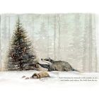 Adventures at Christmas