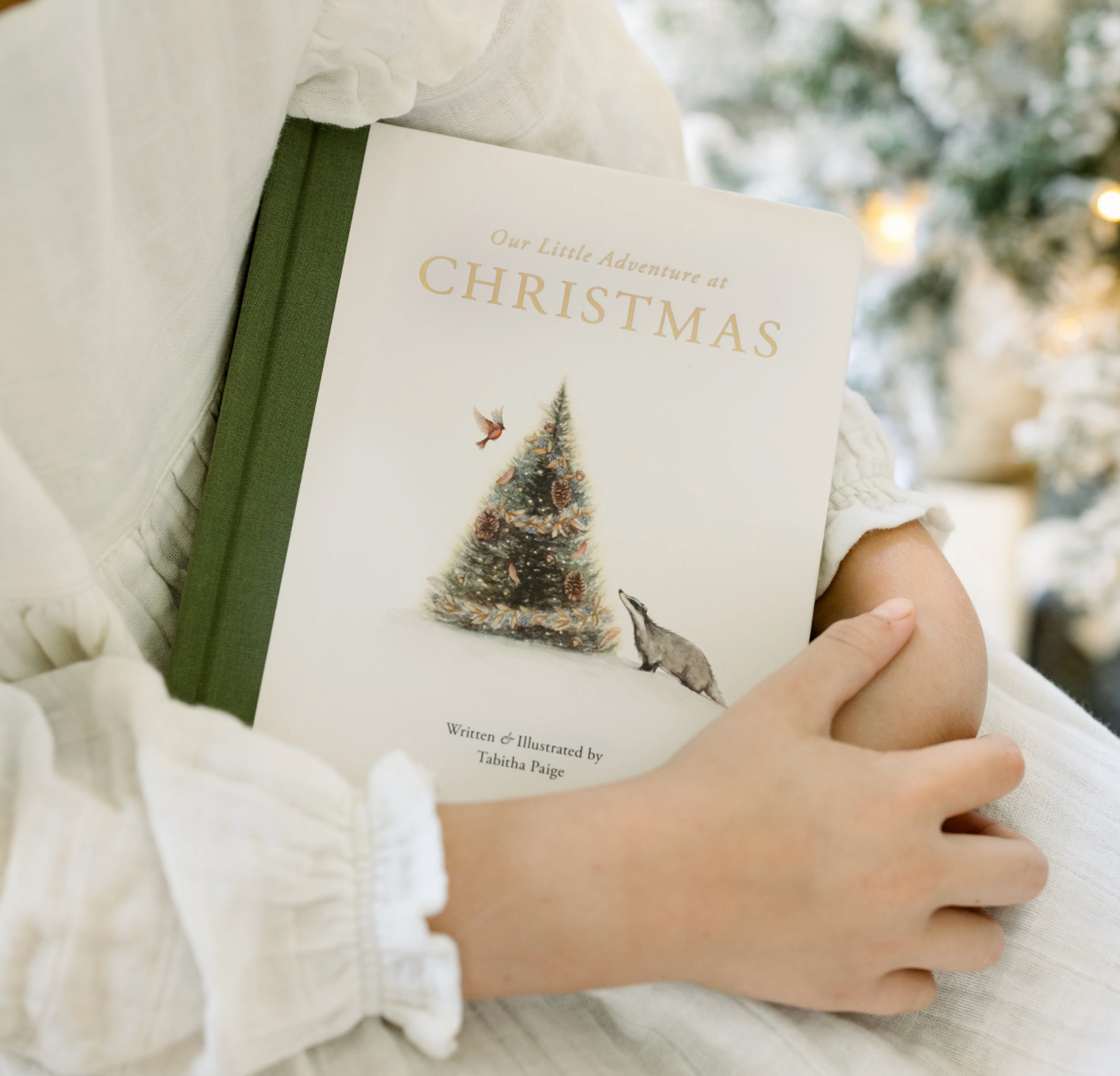 Adventures at Christmas