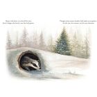 Adventures at Christmas